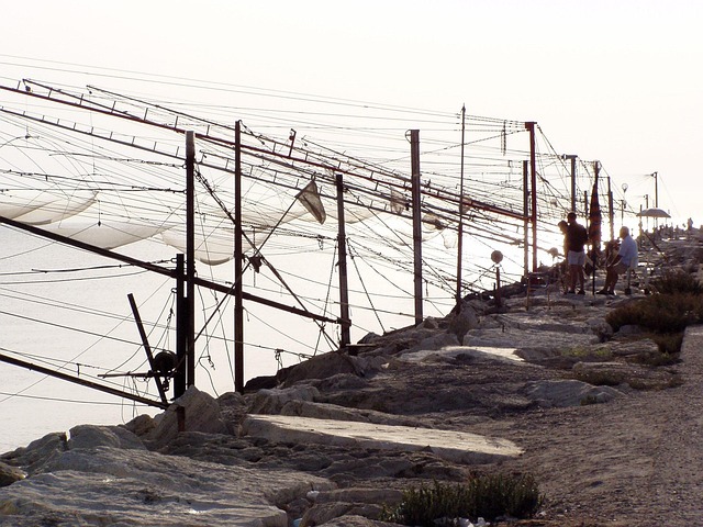 Free Network Fishing photo and picture
