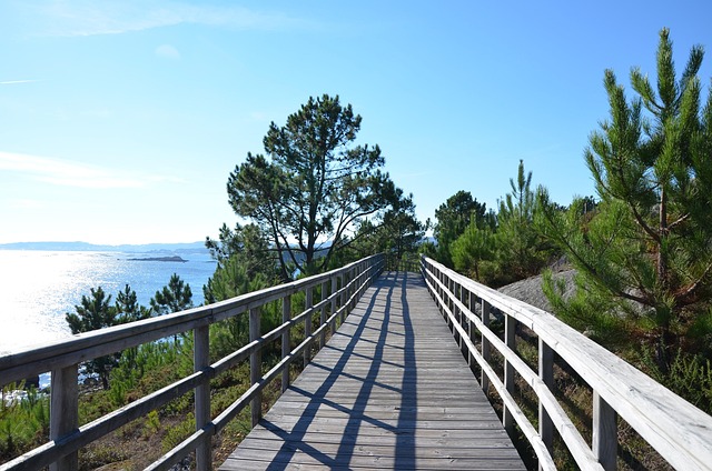 Free Nature Path photo and picture