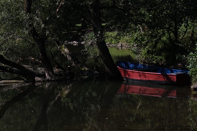 Free Boat Grim photo and picture