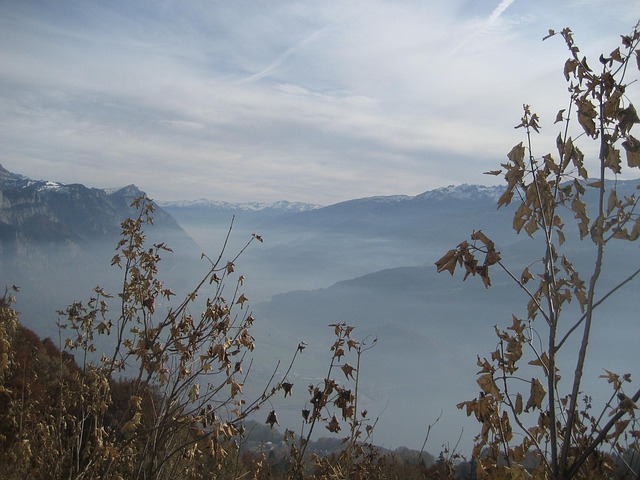 Free Mountains Fog photo and picture