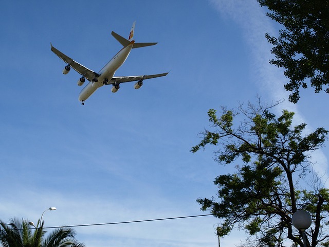 Free Aircraft Darling photo and picture