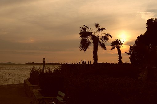 Free Beach Sunset photo and picture