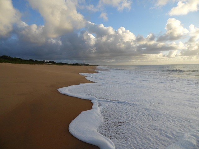 Free Beach Sheets photo and picture