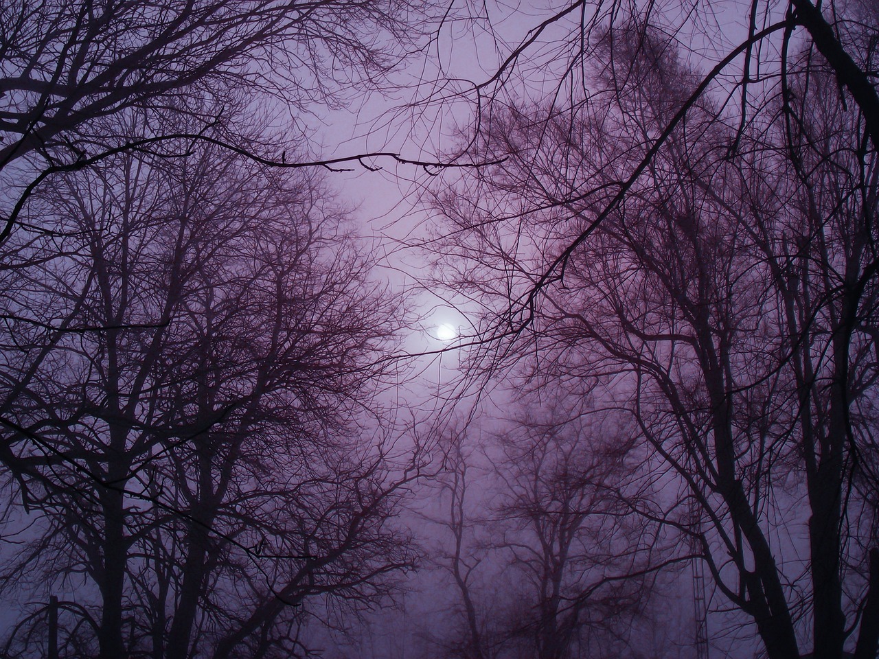 Winter - free online jigsaw puzzle photo
