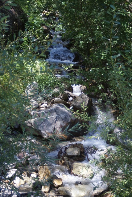 Free Cascade Waterfall photo and picture