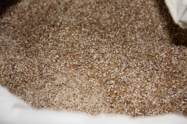 Malt, Øl, Male