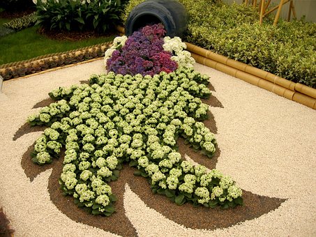 Arranjo, Flores, Jardinagem, Floral