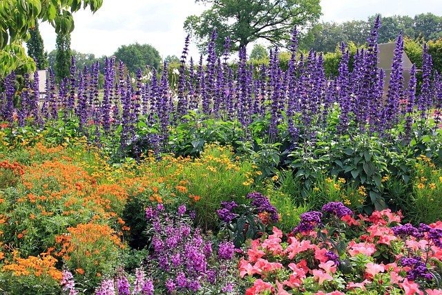 Free Flower Plants photo and picture
