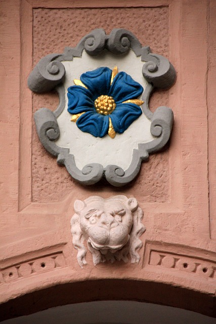 Free Building Rose photo and picture