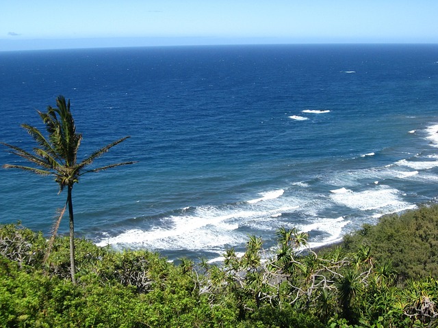 Free Beach Surf photo and picture