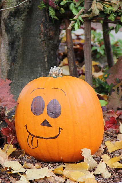 Free Pumpkin Halloween photo and picture