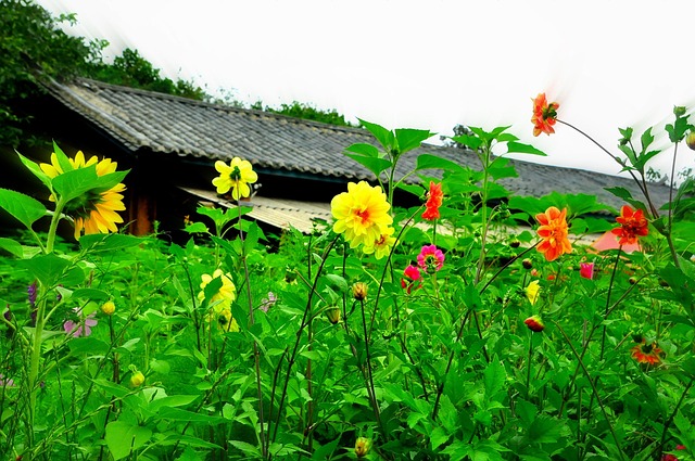 Free Village Flower Wallpaper photo and picture