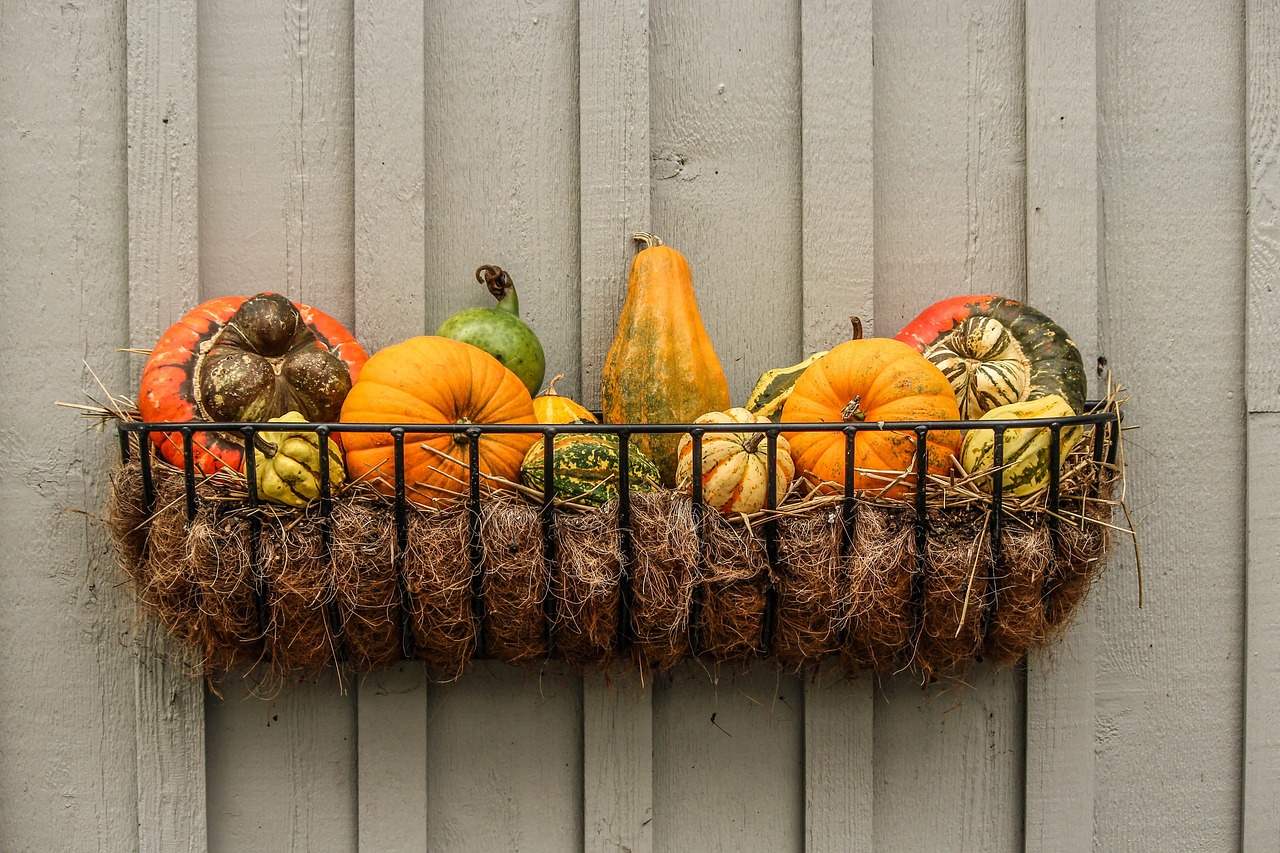 Gourds - free online jigsaw puzzle photo