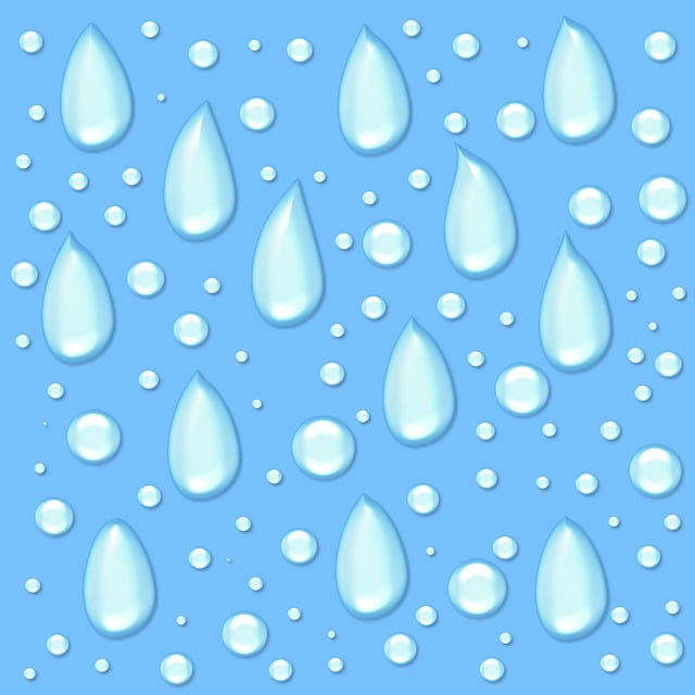 Free disc nature water illustration