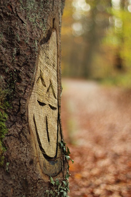Free Tree Fall photo and picture
