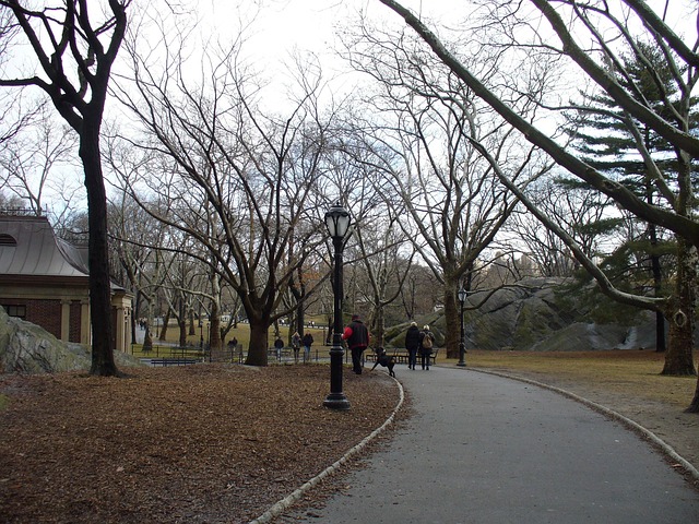 Parque Central, Nueva York, Manhattan