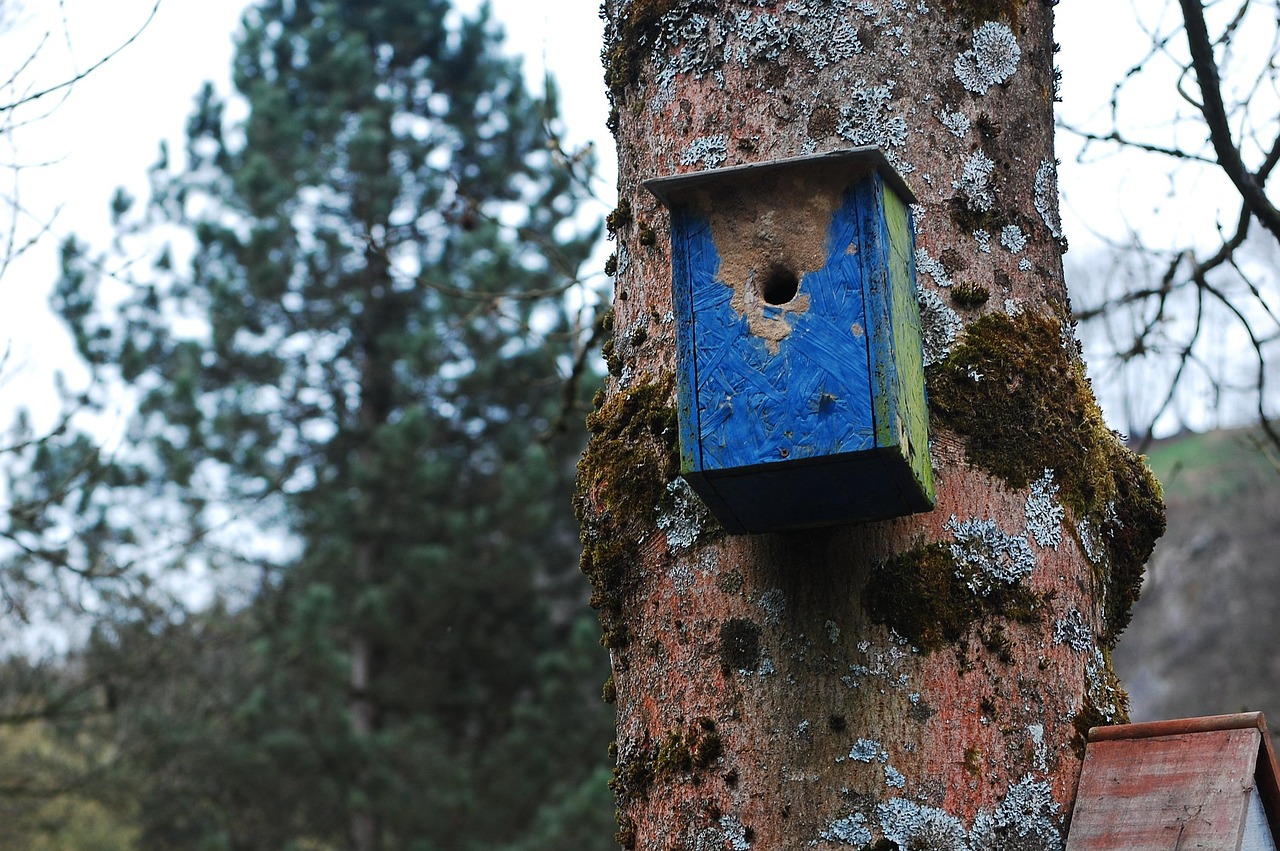 Bird House Tree - Free photo on Pixabay - Aviary Bird Treehouses