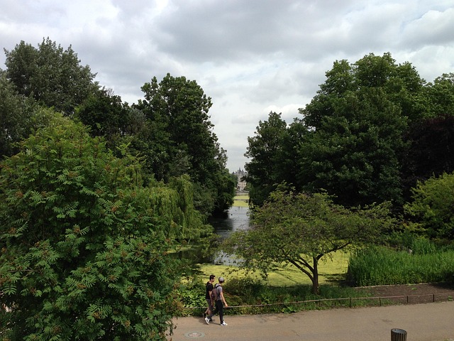 Free London Park photo and picture