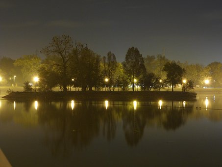 Ilha, Arvores, Reflexão, Noite, Nebuloso