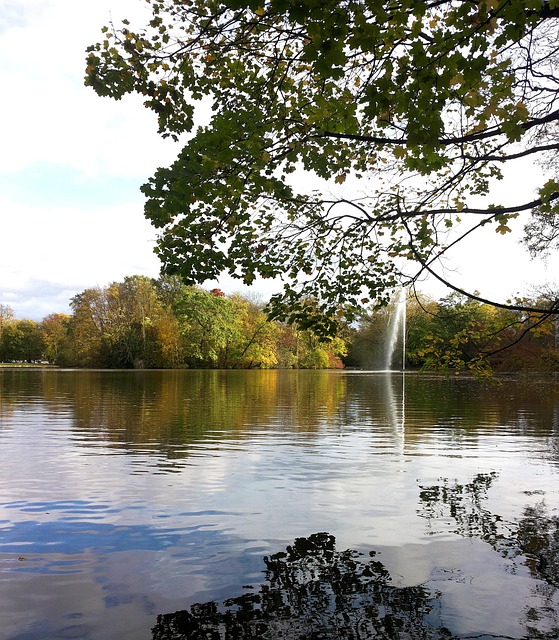 Free Reflection Water photo and picture