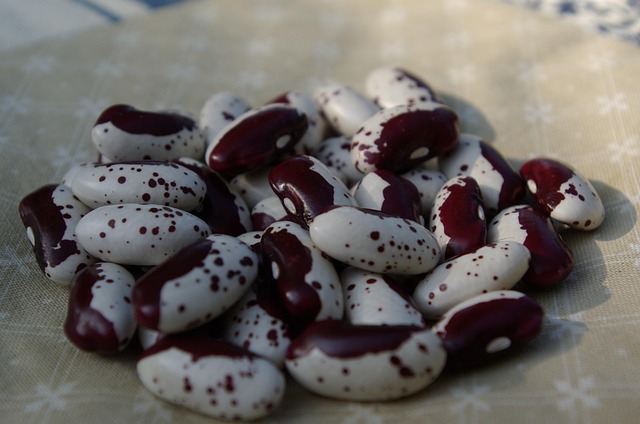Free Beans Kernels photo and picture
