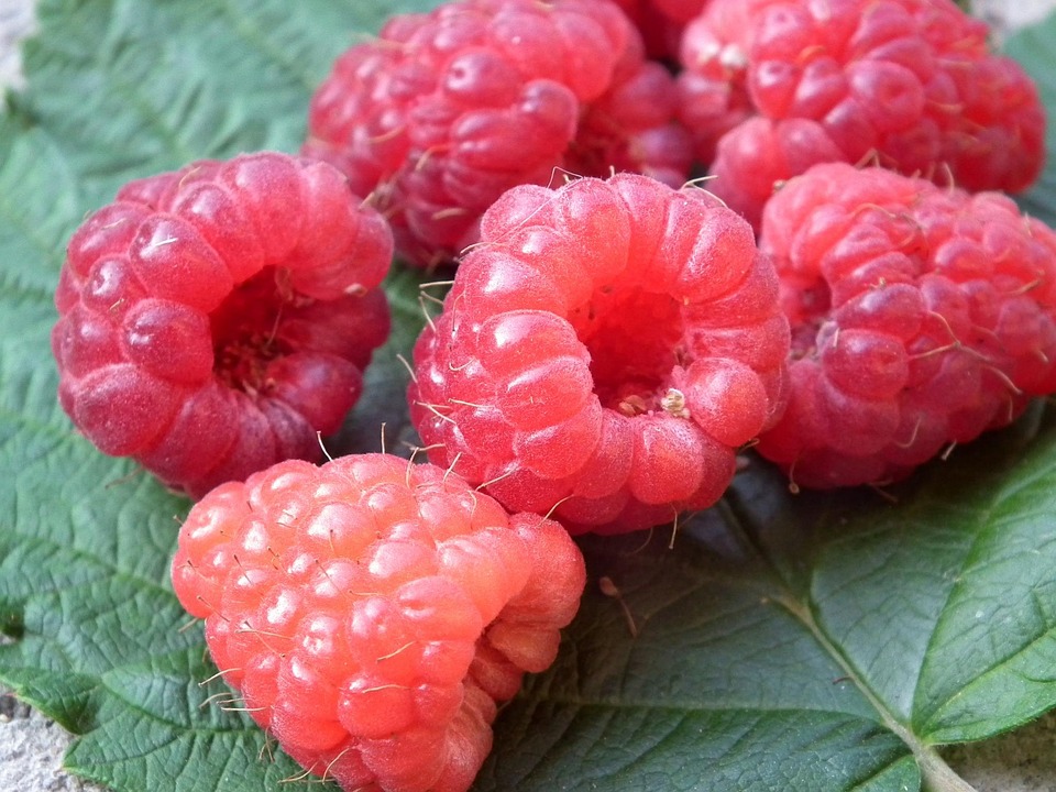 Berries Raspberry Fruit - Free photo on Pixabay