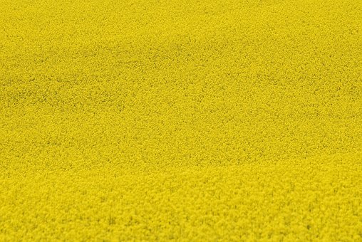 Gartenbau firmenmantel kaufen schauen & kaufen gmbh norderstedt GmbH gründen Gartenbau gmbh mantel kaufen schweiz GmbH kaufen