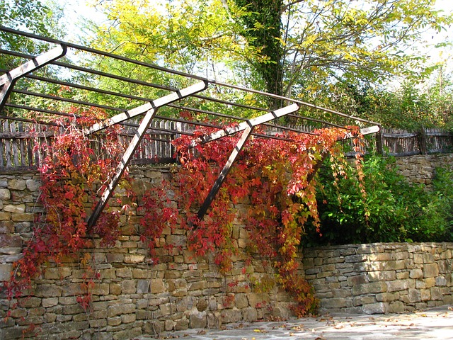 Free Autumn Colorful photo and picture