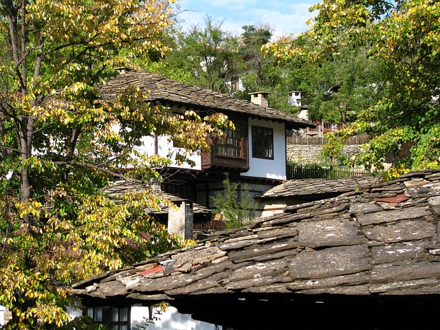 Free Old Houses Homes photo and picture