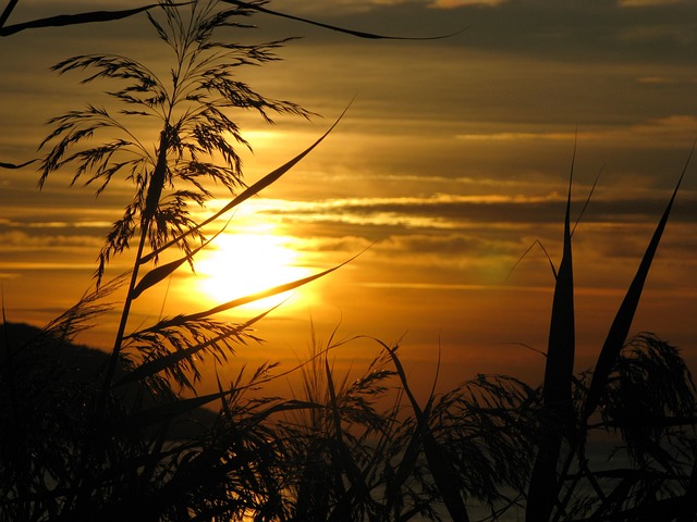 Free Sunset Evening Sky photo and picture