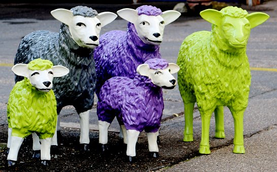 Free Sheep Deco photo and picture