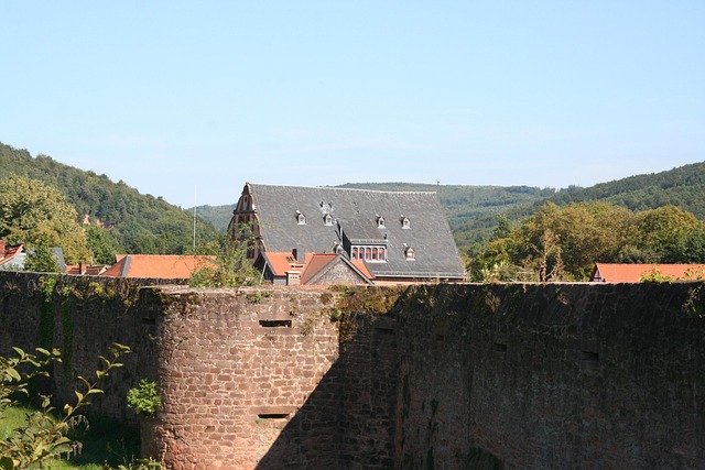 Free City Wall Büdingen photo and picture