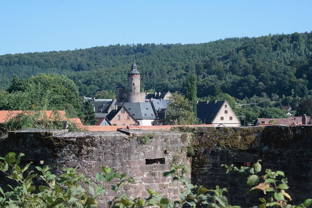 Free Schloß Büdingen Büdingen photo and picture