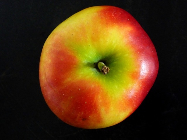 Free Apple Fruit photo and picture