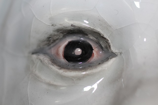 Cerámica, Ojo, Globo Ocular, Mira, Ver