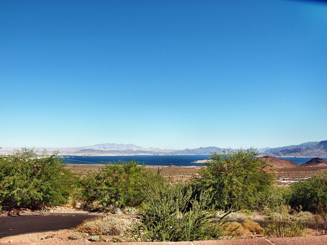 Carne De Lago, Nevada, Parque Nacional