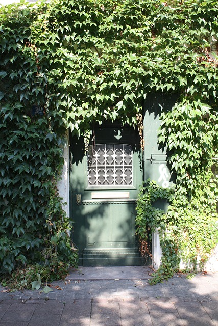 Free Door Front Door photo and picture