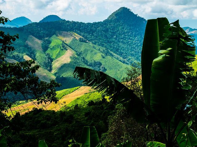 Thai Mosen Wald Onanieren
