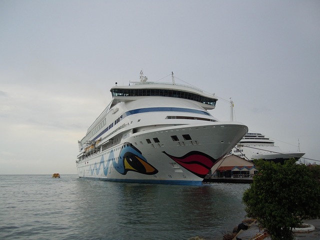 Aida, Urlaub, Meer, Kreuzfahrschiff