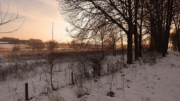 Free Blerick On The Mesh Winter Landscape photo and picture