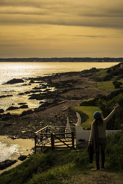 Free Landscape Beach photo and picture