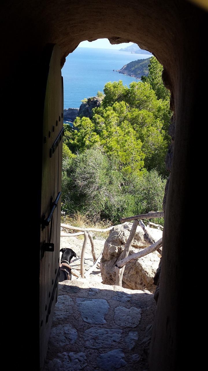View Gate Through The - Free photo on Pixabay