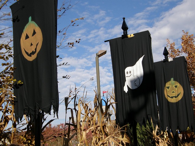 Free Halloween Legoland photo and picture