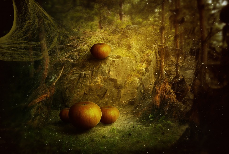 halloween holiday pumpkin fantasy dark forest