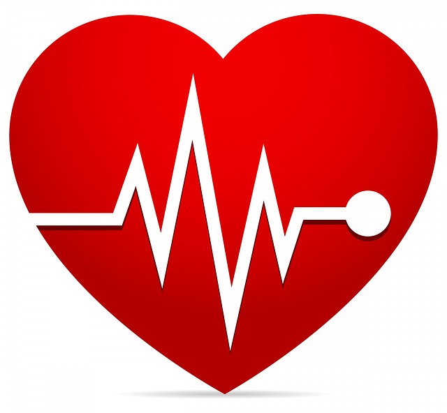 Free heart ekg ecg illustration