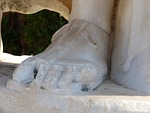 foot, leg, toe