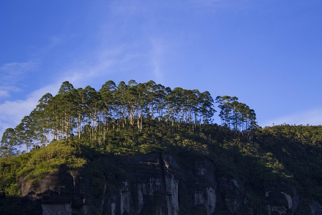 福州永泰县一涉宅地块要求现房销售，最高限价4800万元