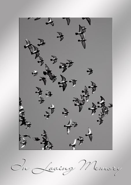 Free grief to die trauerkarte illustration