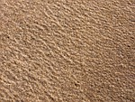 sandy, beaches, lands