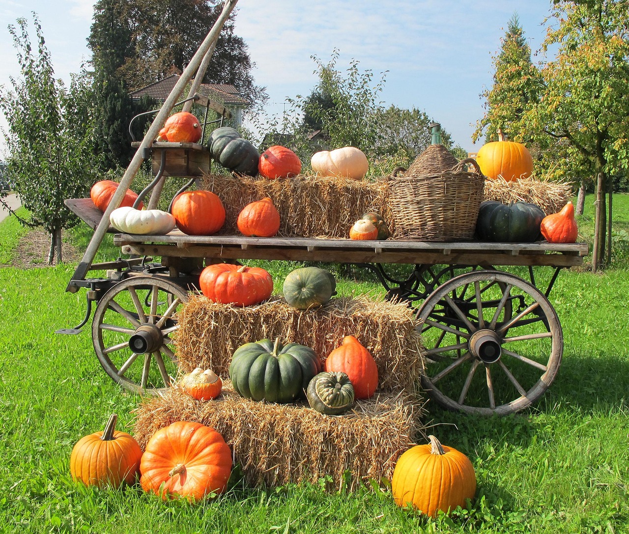 Pumpkins - free online jigsaw puzzle photo